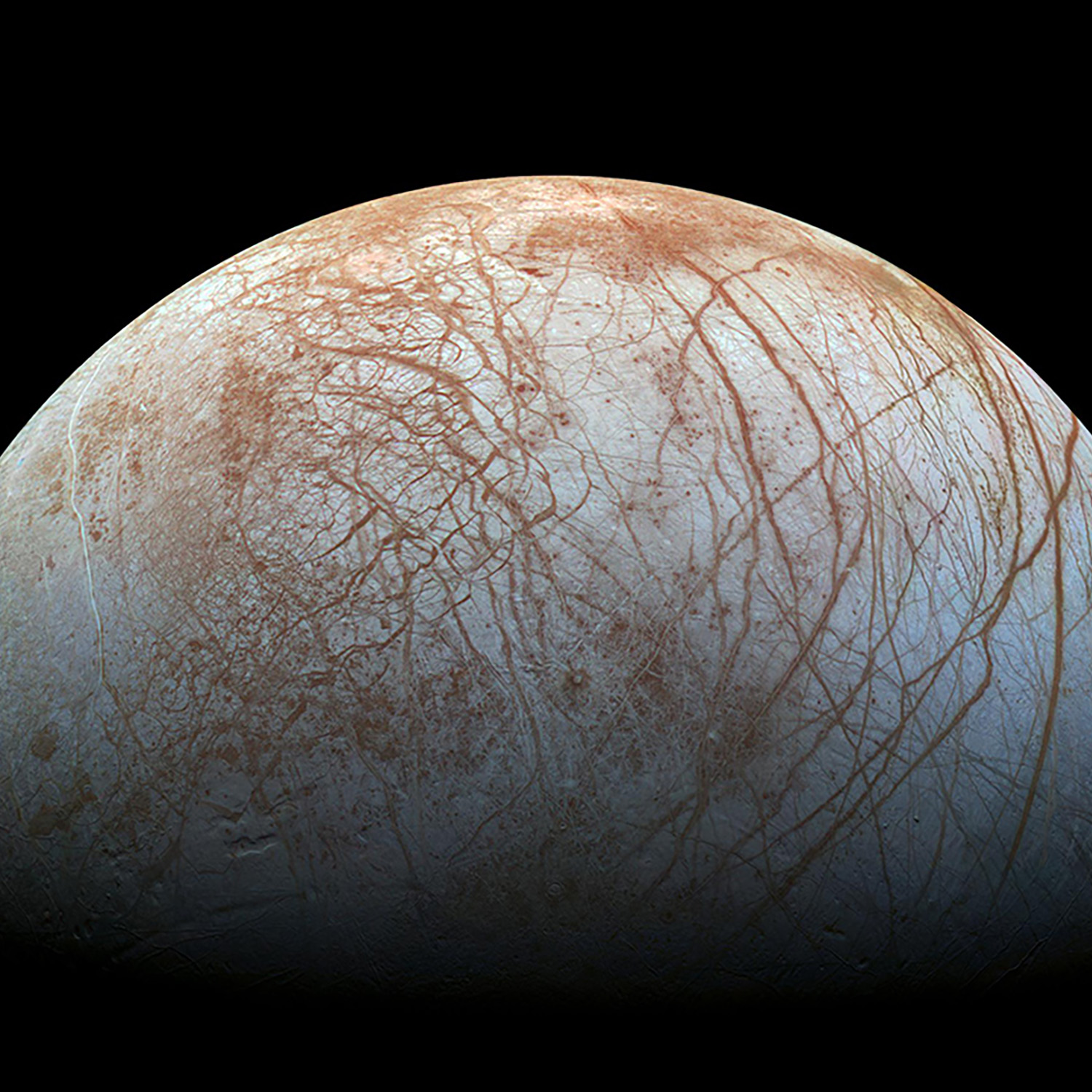 Europa face